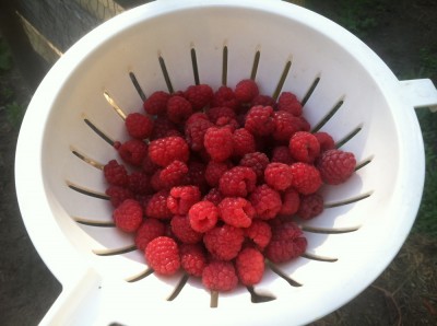 some raspberries