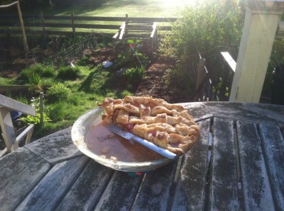 half a rhubarb pie on the back porch table, with the garden in the backround
