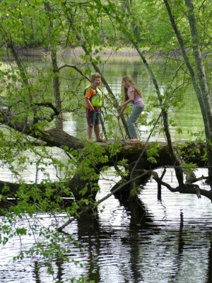 Harvey and a friend walking on a tree leaning into the river