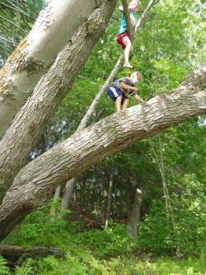 Zion and Lijah high in a tree on the riverbank