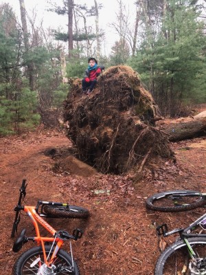 Elijah atop the roots of a fallen tree
