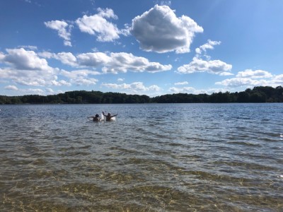 Zion and Elijah swimming in the wide expanse of Freeman Lake