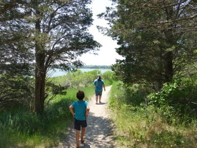 Harvey and Elijah walking on a path towards the Salt Pond