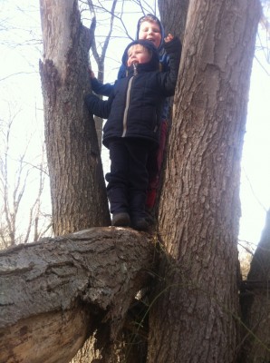 Harvey and Zion up a tree