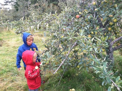 Harvey and Zion picking apples, alone in the orchard
