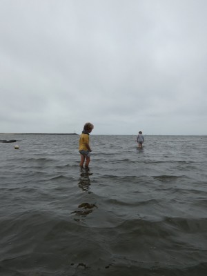 Zion and Elijah wading way out in shallow water in Welfleet Harbor