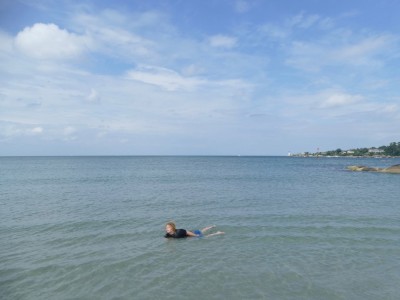 Harvey swimming in shallow calm water in Rockport