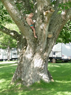 Elijah making a silly pose up in a tree