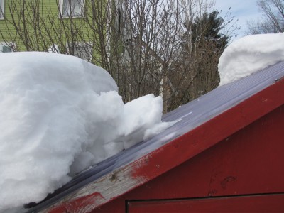 a thick layer of snow that slid halfway off the roof of the henhouse