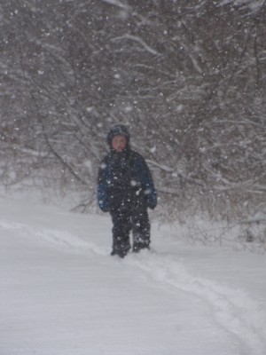 Harvey walking on the edge of the woods through thickly falling snow