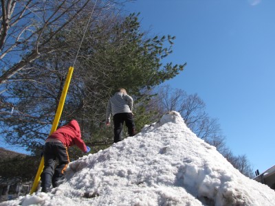 Harvey and ZIon climbing up a big snow mountain