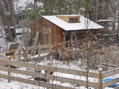 the shed and fence with snow falling
