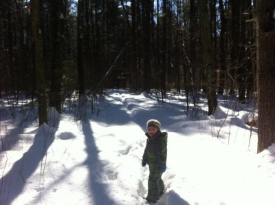snowsuited Harvey stopping in the snowy woods to look at the camera