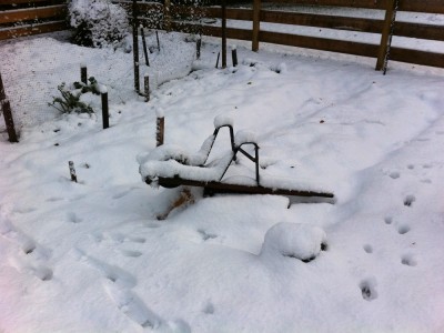 the garden (and wheelbarrow) covered with snow