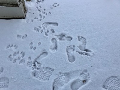 tracks in new snow on our back porch, including barefoot human tracks