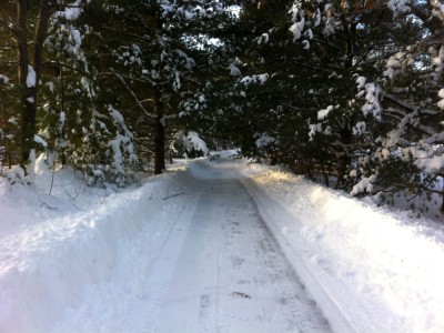 the snowy (but plowed!) bike path
