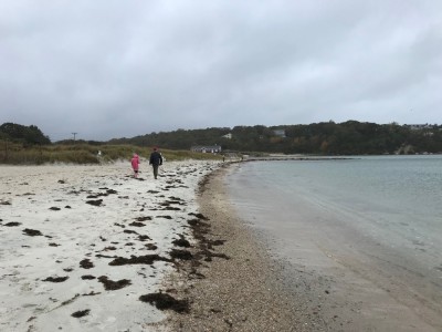 kids walking along the windblown beach