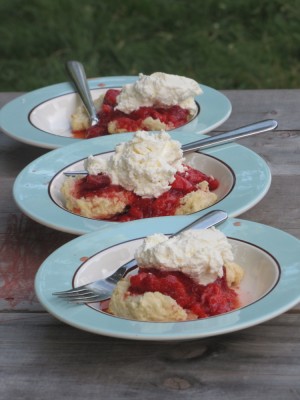 three helpings of strawberry shortcake on the picnic table