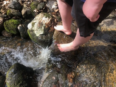 Harvey's feet in a stream