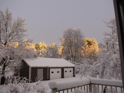 the tips of the snow-covered trees lit up by a break in the clouds at sunset