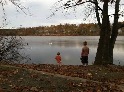 Zion and Harvey looking at a pair of swans on a pond