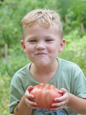 Lijah holding a big tomato