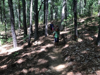 the boys walking along a woodsy trail on the side of a hill