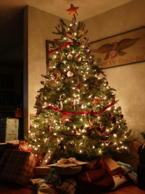 the tree on Christmas Eve