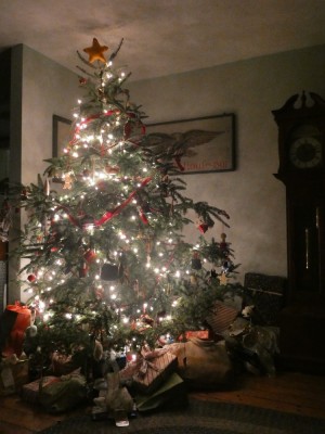 our Christmas tree lit up in the dark