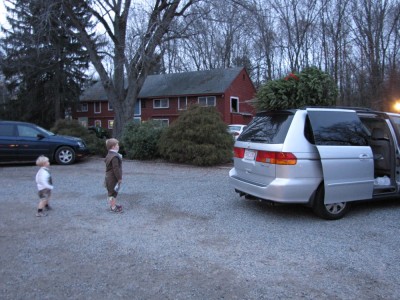 the boys watching the tree being tied onto the car