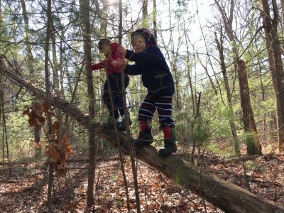 Zion and Lijah walking up a sloping downed tree