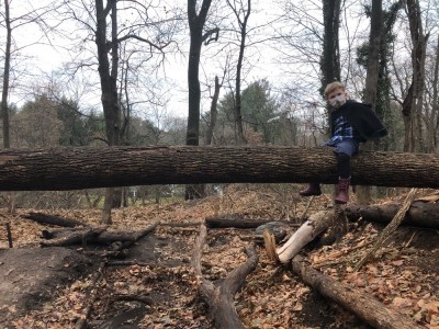 Elijah sitting across a fallen tree trunk over a little dell