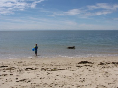Zion and Rascal in the waters of Cape Cod Bay