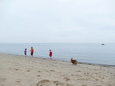 the boys walking along the shore of calm Cape Cod Bay