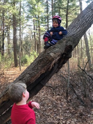 Lijah sitting on a sloping fallen tree above Zion's head