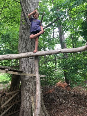 Elijah posing standing on a high fallen tree