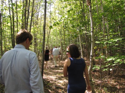 the crowd walking up to the wedding site through the birches
