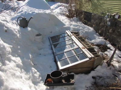 the excavated cold frame surrounded my mountains of snow