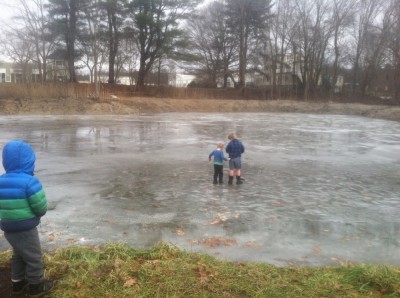 Harvey and Zion inching across the ice on the pond