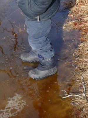 Zion standing on slushy ice