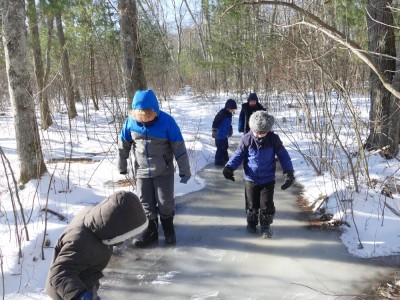 kids sliding on an ice-covered puddle in the woods
