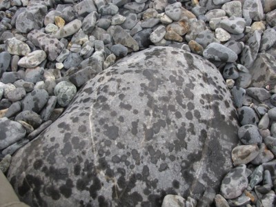 a smooth boulder spotted with raindrops