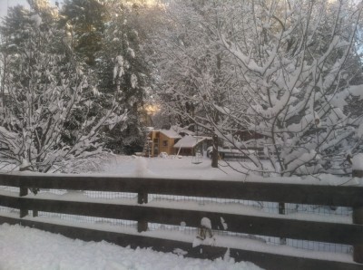 the snowy yard, looking towards the in-progress playhouse