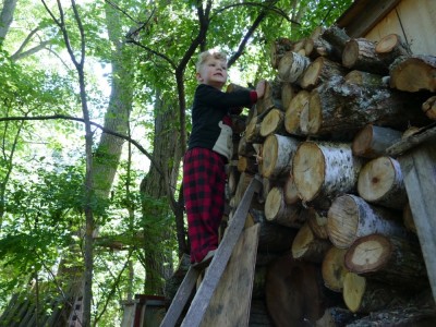 Lijah climbing a ladder up the woodpile