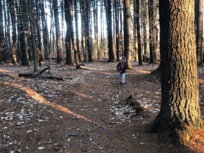 Elijah walking in the woodsq