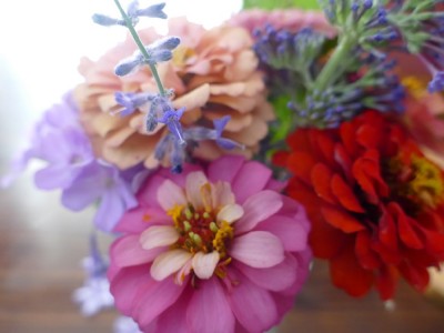 zinnias and other flowers in a jar on the kitchen table